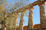 SCIACCA-valle-dei-templi-3